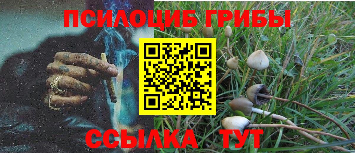 дарнет шоп  Вход с VPN  Галлюциногенные грибы ЛСД  Искитим  Псилоцибиновые грибы Psilocybine cubensis 